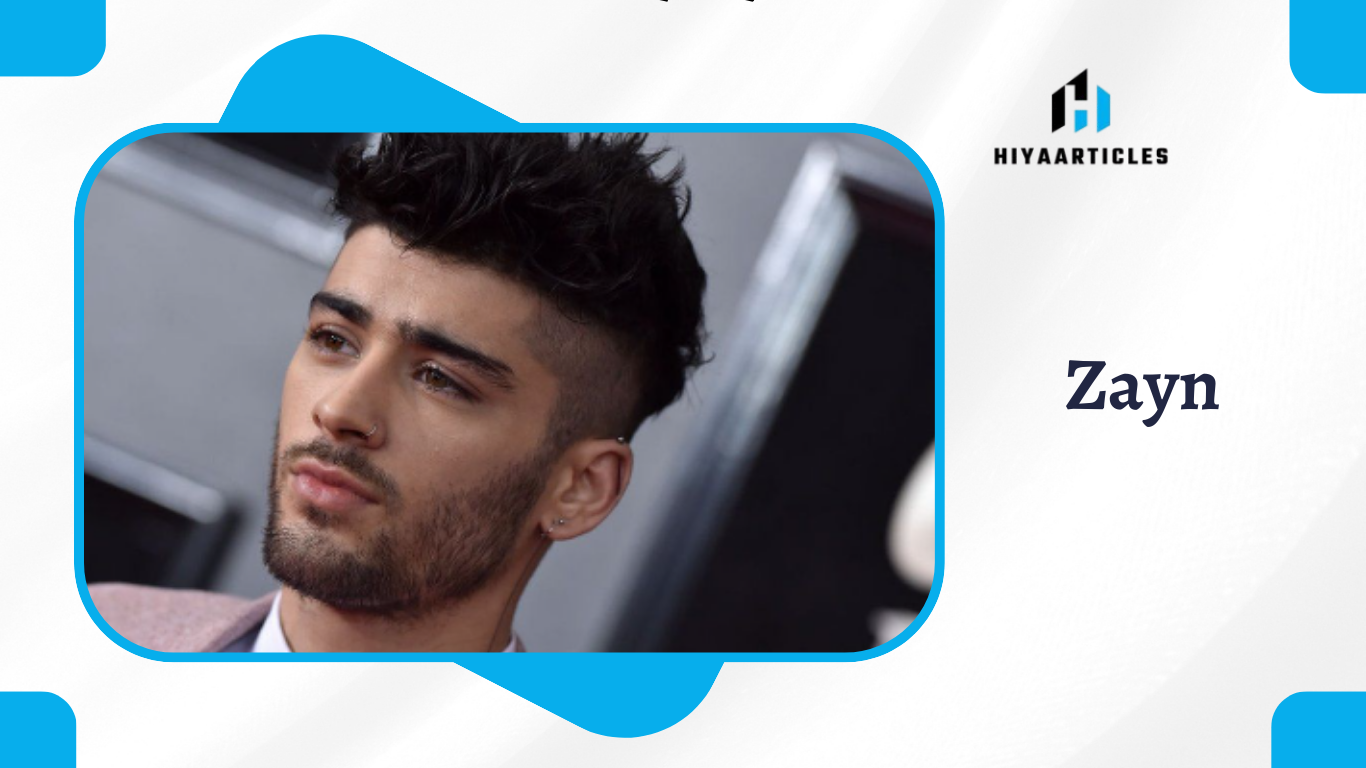 Zayn Malik Net Worth