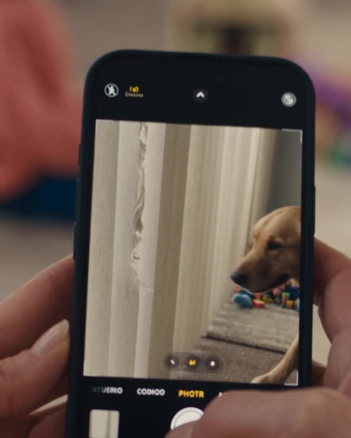 Mia Kept Saying the Dog “Brought Her a Secret” — Then the Hallway Camera Showed Where It Really Came From