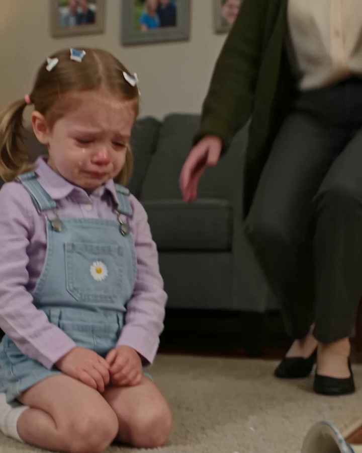 Lily Was Blamed for Shattering Grandma Helen’s Favorite Vase — Then the Pet Camera Showed She Never Touched It